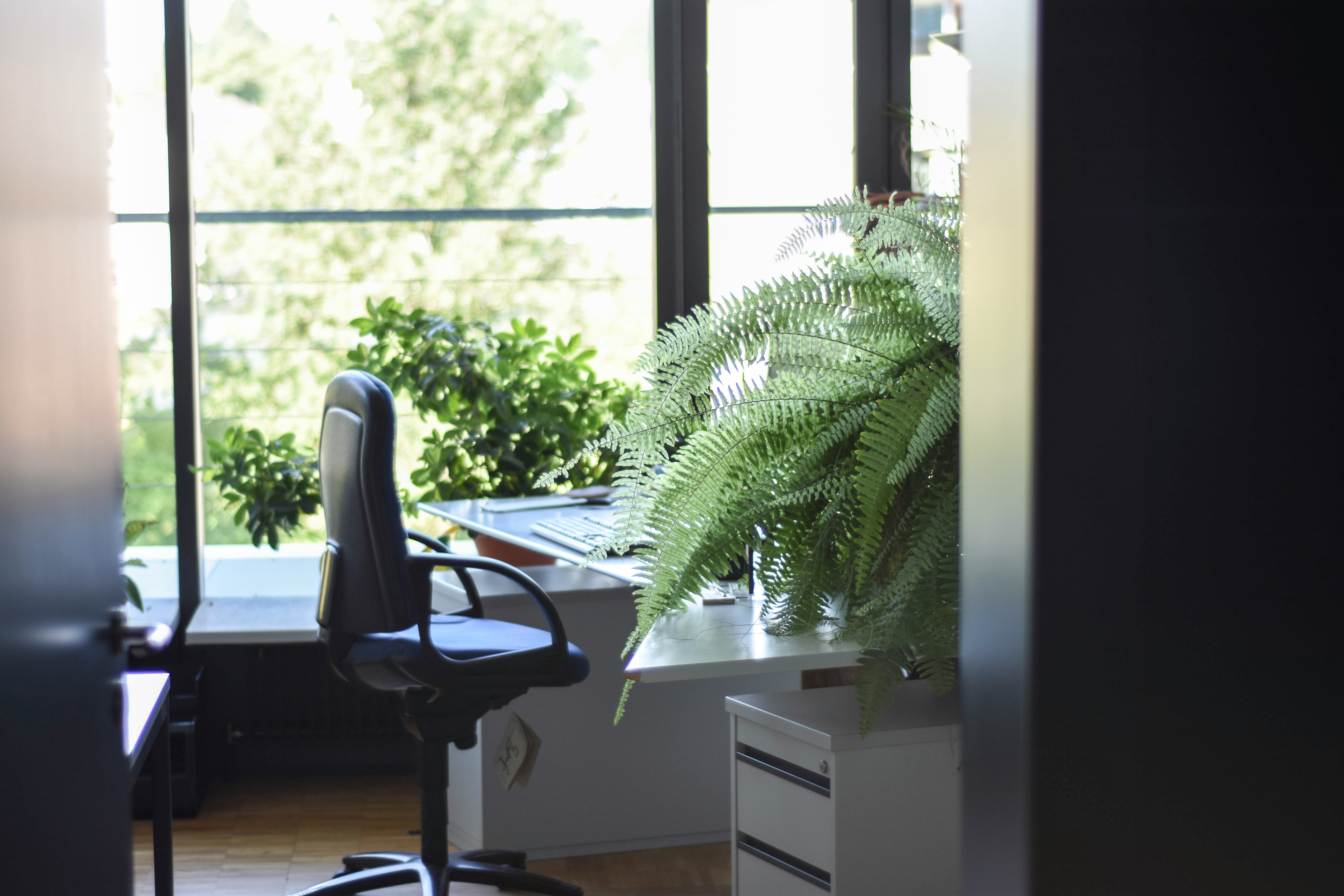 Quantifying Nature Dose Indoors